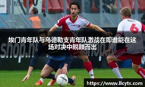 emc易倍